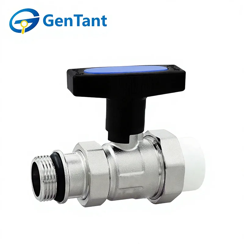 Van hồi lưu thân dài